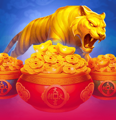 3枚硬币狂野老虎